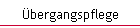 bergangspflege